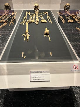 特別展「古代ＤＮＡ－日本人のきた道－」に投稿された画像（2025/7/31）