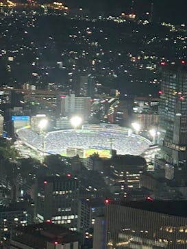 横浜ランドマークタワー 69階展望フロア スカイガーデンに投稿された画像（2025/7/31）