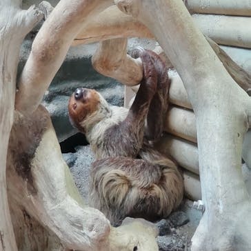 カワスイ 川崎⽔族館に投稿された画像（2025/7/31）