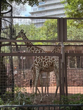 恩賜上野動物園に投稿された画像（2025/7/31）