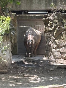 恩賜上野動物園に投稿された画像（2025/7/31）