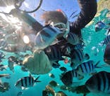 武藤潜水に投稿された画像（2025/8/1）