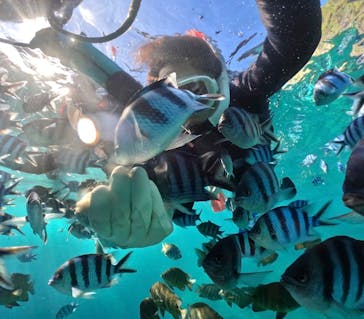 武藤潜水に投稿された画像（2025/8/1）