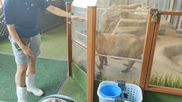 新江ノ島水族館に投稿された画像（2025/8/1）