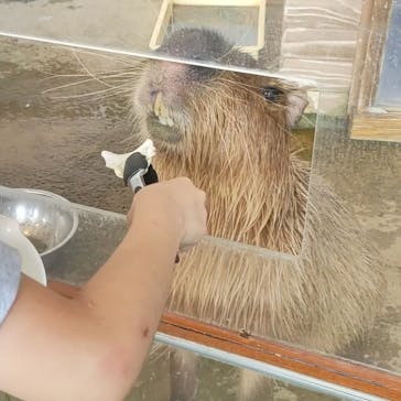 新江ノ島水族館に投稿された画像（2025/8/1）