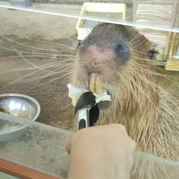 新江ノ島水族館に投稿された画像（2025/8/1）