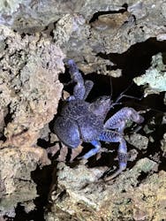 スターライフ石垣島に投稿された画像（2025/8/1）