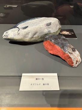 プレバト才能アリ展に投稿された画像（2025/8/1）