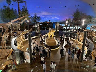 アソビュー！ポイントに投稿された画像（2025/8/1）