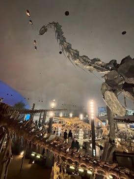 アソビュー！ポイントに投稿された画像（2025/8/1）