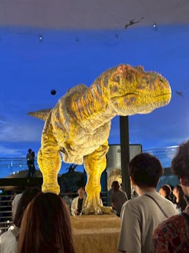 アソビュー！ポイントに投稿された画像（2025/8/1）