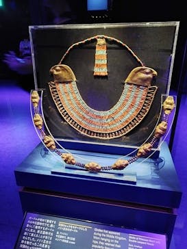 ACN ラムセス大王展 ファラオたちの黄金に投稿された画像（2025/8/1）