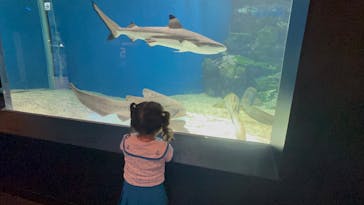 マクセル アクアパーク品川に投稿された画像（2025/8/1）