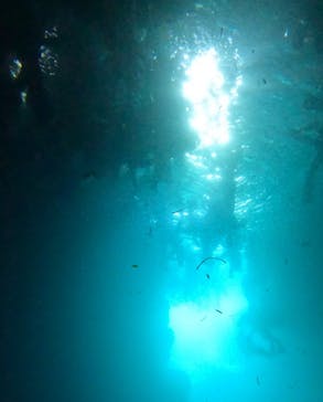 武藤潜水に投稿された画像（2025/8/1）