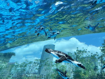 サンシャイン水族館に投稿された画像（2025/8/1）
