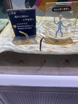 NIFREL（ニフレル）に投稿された画像（2025/8/1）