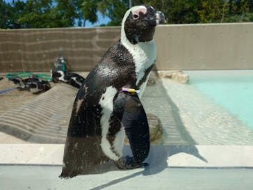 マリンワールド海の中道に投稿された画像（2025/8/1）