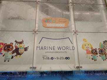 マリンワールド海の中道に投稿された画像（2025/8/1）