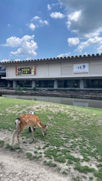 世界探検の旅—美と驚異の遺産—に投稿された画像（2025/8/1）