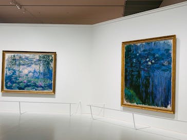 モネ 睡蓮のとき（豊田会場）に投稿された画像（2025/8/1）