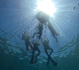 沖縄マリンサービス碧に投稿された画像（2025/8/1）