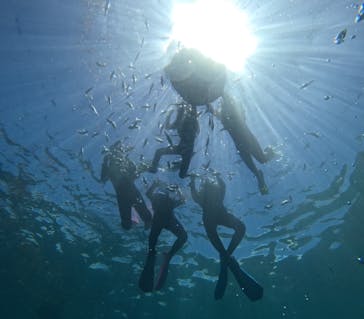 沖縄マリンサービス碧に投稿された画像（2025/8/1）