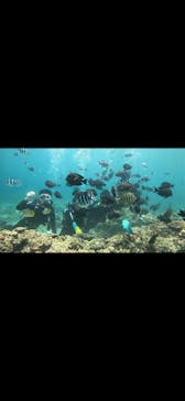 武藤潜水に投稿された画像（2025/8/1）