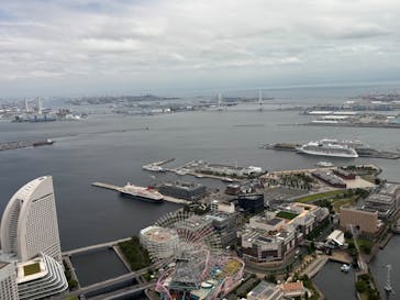 横浜ランドマークタワー 69階展望フロア スカイガーデンに投稿された画像（2025/8/1）