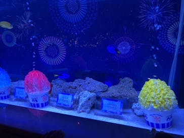 マクセル アクアパーク品川に投稿された画像（2025/8/1）