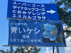 白馬五竜高山植物園に投稿された画像（2025/8/1）