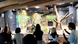 恩賜上野動物園に投稿された画像（2025/8/1）