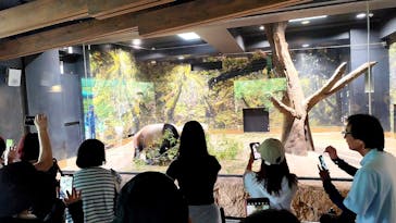 恩賜上野動物園に投稿された画像（2025/8/1）