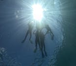 武藤潜水に投稿された画像（2025/8/1）