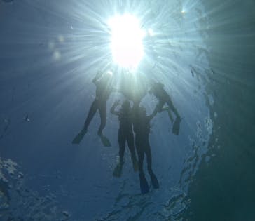 武藤潜水に投稿された画像（2025/8/1）