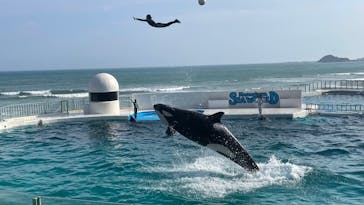 鴨川シーワールドに投稿された画像（2025/8/1）