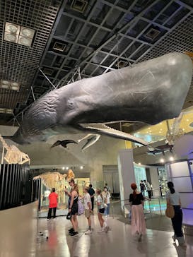 特別展「氷河期展 〜人類が見た4万年前の世界〜」（国立科学博物館）に投稿された画像（2025/8/1）