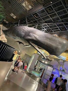 特別展「氷河期展 〜人類が見た4万年前の世界〜」（国立科学博物館）に投稿された画像（2025/8/1）