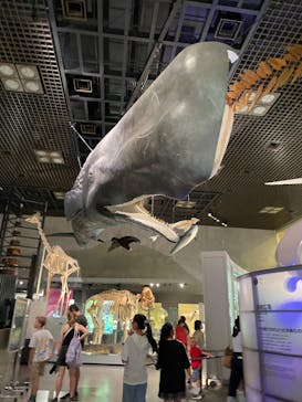 特別展「氷河期展 〜人類が見た4万年前の世界〜」（国立科学博物館）に投稿された画像（2025/8/1）