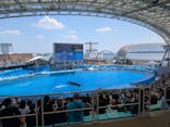 名古屋港水族館に投稿された画像（2025/8/1）