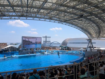 名古屋港水族館に投稿された画像（2025/8/1）