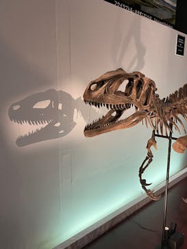 福井県立恐竜博物館に投稿された画像（2025/8/1）