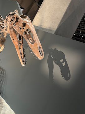 福井県立恐竜博物館に投稿された画像（2025/8/1）