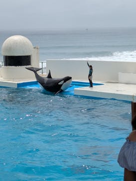 鴨川シーワールドに投稿された画像（2025/8/1）