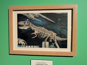 プレバト才能アリ展に投稿された画像（2025/8/1）