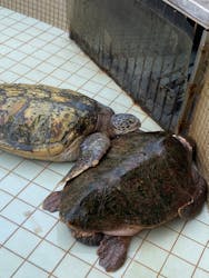 下田海中水族館に投稿された画像（2025/8/1）