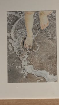 プレバト才能アリ展に投稿された画像（2025/8/1）