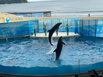 新江ノ島水族館に投稿された画像（2025/8/1）