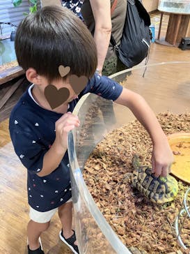 NARA IKIMONO MUSEUMに投稿された画像（2025/8/1）