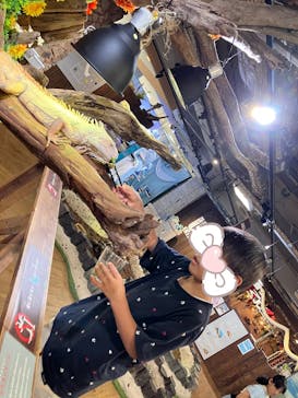 NARA IKIMONO MUSEUMに投稿された画像（2025/8/1）