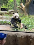 恩賜上野動物園に投稿された画像（2025/8/1）